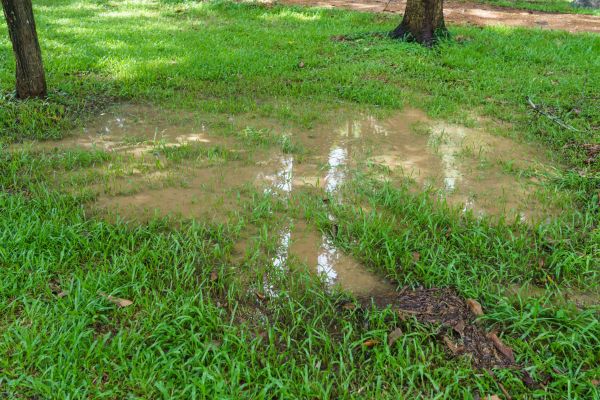 Cost of Storm Water Drainage Service in Huntington
