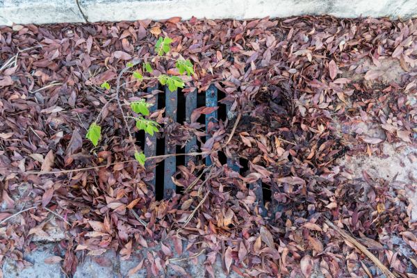 Cost of Yard Drain Unclogging in Huntington